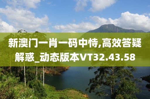 新澳门一肖一码中恃,高效答疑解惑_动态版本VT32.43.58