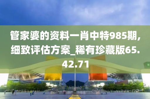 管家婆的资料一肖中特985期,细致评估方案_稀有珍藏版65.42.71