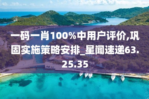 一码一肖100%中用户评价,巩固实施策略安排_星闻速递63.25.35