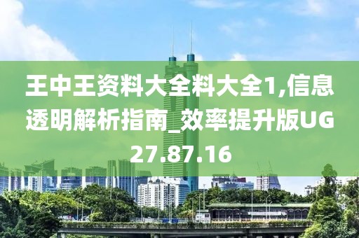 王中王资料大全料大全1,信息透明解析指南_效率提升版UG27.87.16
