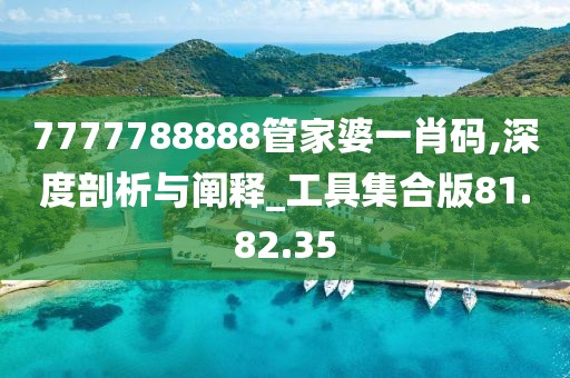 7777788888管家婆一肖码,深度剖析与阐释_工具集合版81.82.35