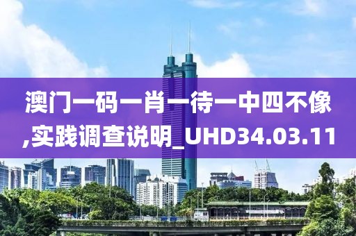澳门一码一肖一待一中四不像,实践调查说明_UHD34.03.11