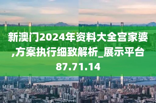 新澳门2024年资料大全宫家婆,方案执行细致解析_展示平台87.71.14
