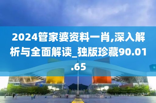 2024管家婆资料一肖,深入解析与全面解读_独版珍藏90.01.65