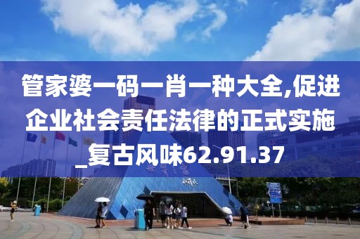 管家婆一码一肖一种大全,促进企业社会责任法律的正式实施_复古风味62.91.37