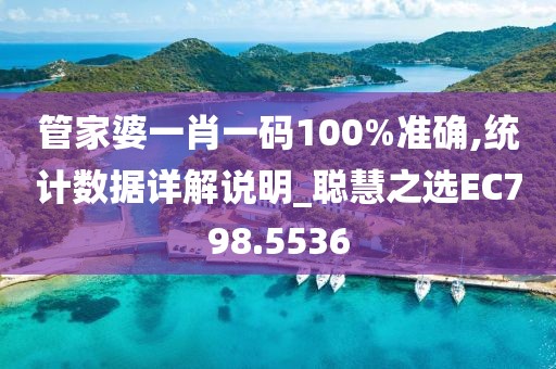 管家婆一肖一码100%准确,统计数据详解说明_聪慧之选EC798.5536