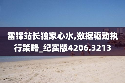 雷锋站长独家心水,数据驱动执行策略_纪实版4206.3213
