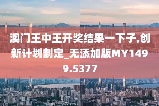 澳门王中王开奖结果一下子,创新计划制定_无添加版MY1499.5377