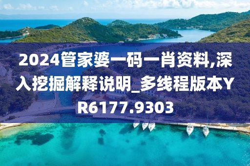 2024管家婆一码一肖资料,深入挖掘解释说明_多线程版本YR6177.9303