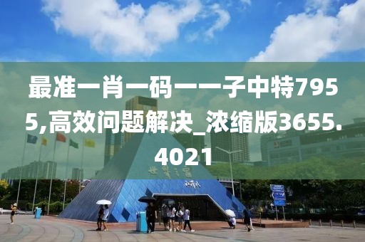 最准一肖一码一一子中特7955,高效问题解决_浓缩版3655.4021