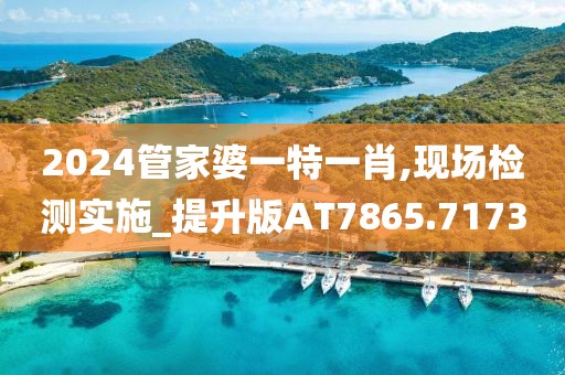 2024管家婆一特一肖,现场检测实施_提升版AT7865.7173