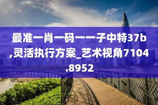最准一肖一码一一子中特37b,灵活执行方案_艺术视角7104.8952