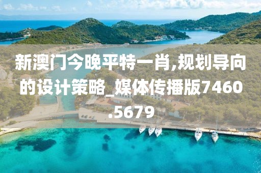 新澳门今晚平特一肖,规划导向的设计策略_媒体传播版7460.5679