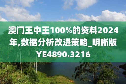 澳门王中王100%的资料2024年,数据分析改进策略_明晰版YE4890.3216