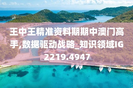 王中王精准资料期期中澳门高手,数据驱动战略_知识领域IG2219.4947