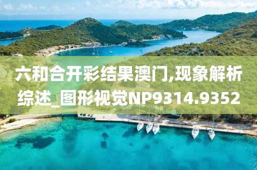 六和合开彩结果澳门,现象解析综述_图形视觉NP9314.9352