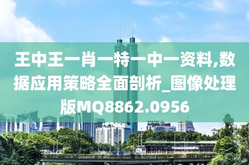王中王一肖一特一中一资料,数据应用策略全面剖析_图像处理版MQ8862.0956