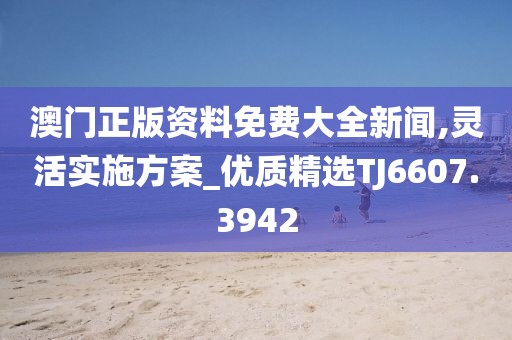 澳门正版资料免费大全新闻,灵活实施方案_优质精选TJ6607.3942