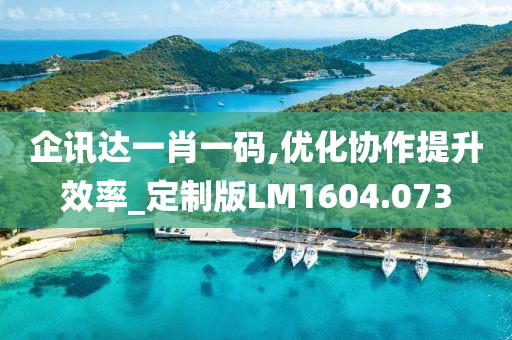 企讯达一肖一码,优化协作提升效率_定制版LM1604.073