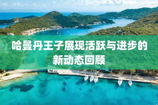哈曼丹王子展现活跃与进步的新动态回顾