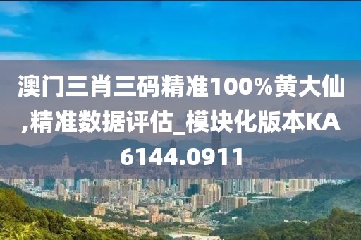 澳门三肖三码精准100%黄大仙,精准数据评估_模块化版本KA6144.0911
