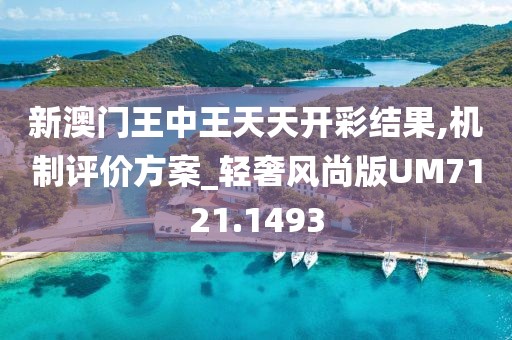 新澳门王中王天天开彩结果,机制评价方案_轻奢风尚版UM7121.1493