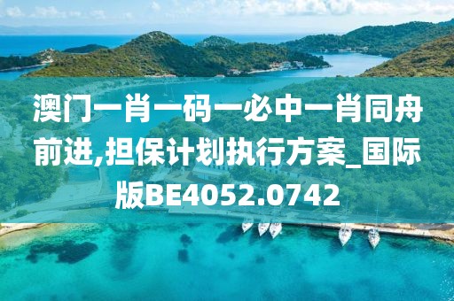 澳门一肖一码一必中一肖同舟前进,担保计划执行方案_国际版BE4052.0742