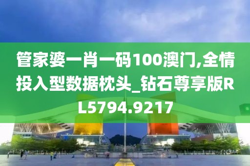 管家婆一肖一码100澳门,全情投入型数据枕头_钻石尊享版RL5794.9217