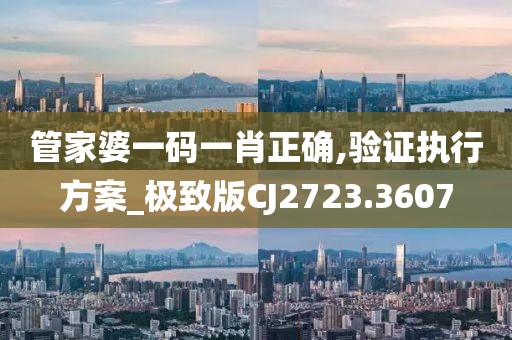 管家婆一码一肖正确,验证执行方案_极致版CJ2723.3607