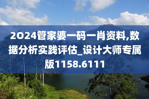 2O24管家婆一码一肖资料,数据分析实践评估_设计大师专属版1158.6111