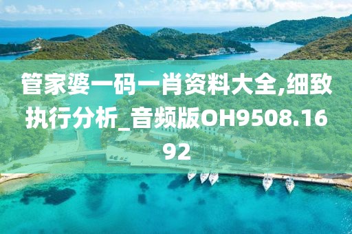 管家婆一码一肖资料大全,细致执行分析_音频版OH9508.1692