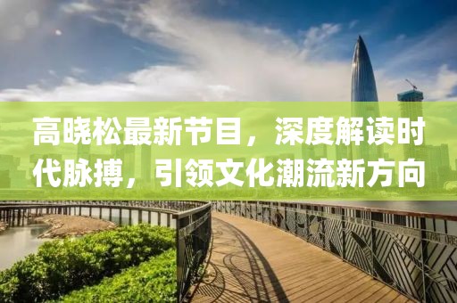 高晓松最新节目，深度解读时代脉搏，引领文化潮流新方向