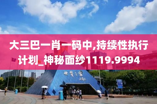 大三巴一肖一码中,持续性执行计划_神秘面纱1119.9994