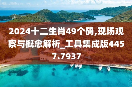 2024十二生肖49个码,现场观察与概念解析_工具集成版4457.7937