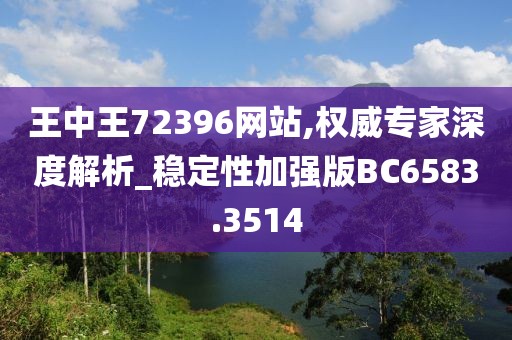 王中王72396网站,权威专家深度解析_稳定性加强版BC6583.3514