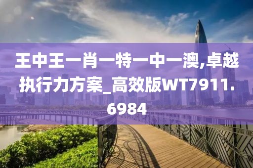 王中王一肖一特一中一澳,卓越执行力方案_高效版WT7911.6984