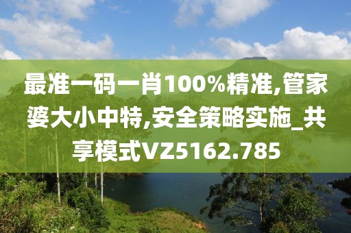 最准一码一肖100%精准,管家婆大小中特,安全策略实施_共享模式VZ5162.785