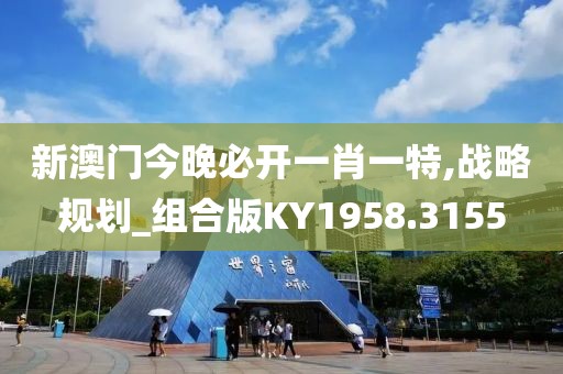 新澳门今晚必开一肖一特,战略规划_组合版KY1958.3155
