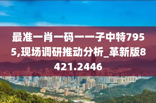 最准一肖一码一一子中特7955,现场调研推动分析_革新版8421.2446