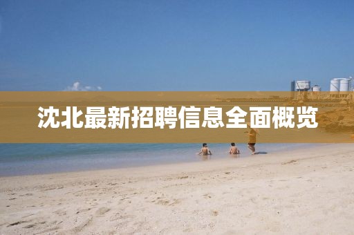 沈北最新招聘信息全面概览