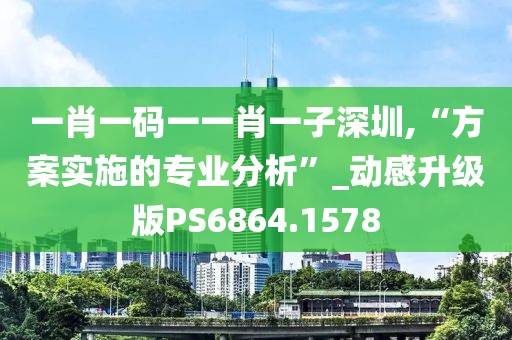 一肖一码一一肖一子深圳,“方案实施的专业分析”_动感升级版PS6864.1578