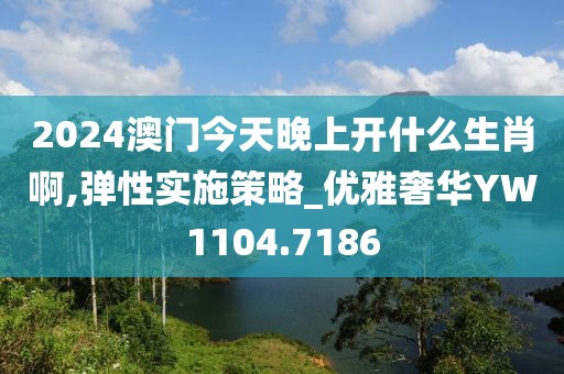 2024澳门今天晚上开什么生肖啊,弹性实施策略_优雅奢华YW1104.7186