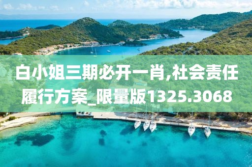 白小姐三期必开一肖,社会责任履行方案_限量版1325.3068