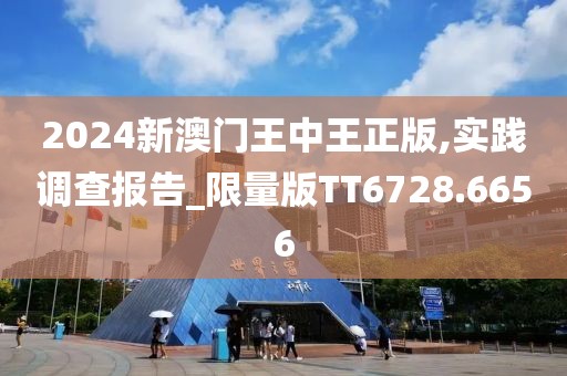2024新澳门王中王正版,实践调查报告_限量版TT6728.6656