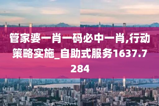 管家婆一肖一码必中一肖,行动策略实施_自助式服务1637.7284