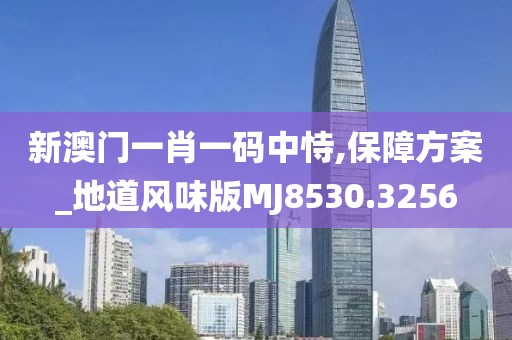新澳门一肖一码中恃,保障方案_地道风味版MJ8530.3256
