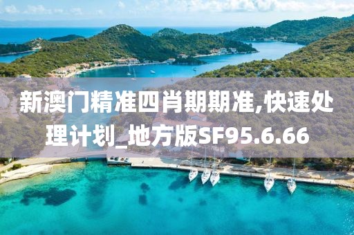 新澳门精准四肖期期准,快速处理计划_地方版SF95.6.66