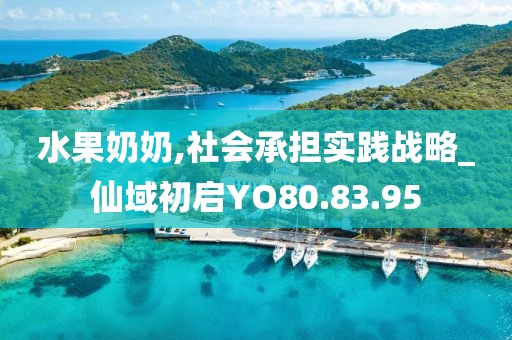水果奶奶,社会承担实践战略_仙域初启YO80.83.95