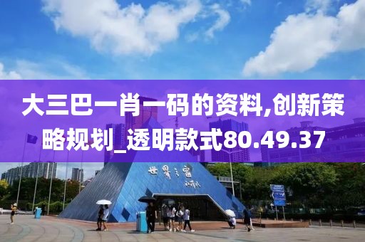 大三巴一肖一码的资料,创新策略规划_透明款式80.49.37