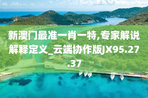 新澳门最准一肖一特,专家解说解释定义_云端协作版JX95.27.37